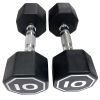 APOLLO IR3920 Premium Octagonal Dumbbells, Large Numbers, Hard Chrome Plated Handle Dumbbells to Assist with Push-Ups, 10 lbs set of 2